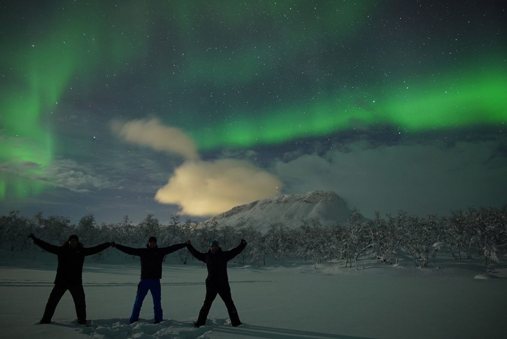 arcticans northern lights